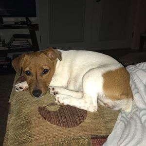 Meet your Posher, Sugelis